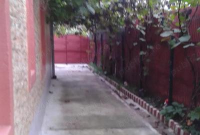 Spațiu comercial, de 950 mp, în Badea Cârțan - 2