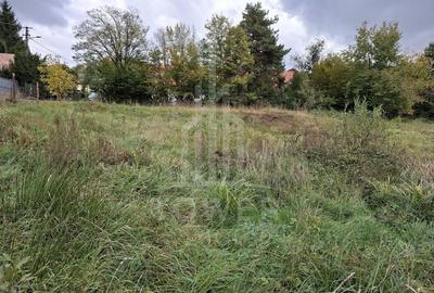 Teren intravilan cu Puz si priveliște deosebită, spre Cetatea Cisnădioara - 7