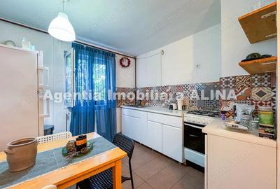 Ap. 2 camere in Deva, zona Gojdu, Aleea Pacii, 47 mp, etaj 3, mobilat si utilat. - 2