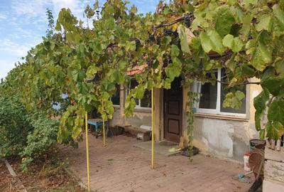 Casă cu 3 camere cu Teren 740 Mp în Herneacova - 8