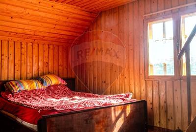 Casă individuală cu 4 camere cu Canalizare în Sud - 9