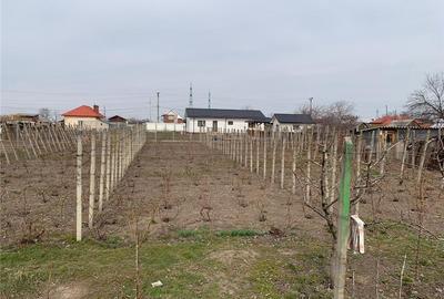 Teren de 928 mp, în Central - 4