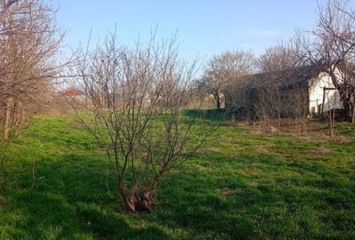 Casă cu 5 camere cu Teren 369 Mp în Zăvoaia - 1