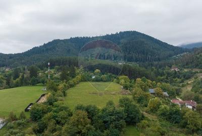 Proiect autorizat (AC) pentru constructia a 2 vile individuale P+M - 3