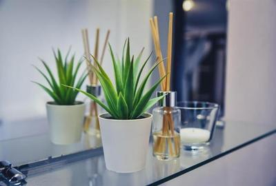 Aleasa Pensiune, pe 1.400 mp teren, in curcubeu montan, Bran - Poarta, Brasov - 3