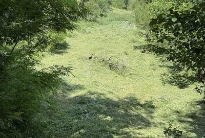 Spațiu comercial, în Salva - 6