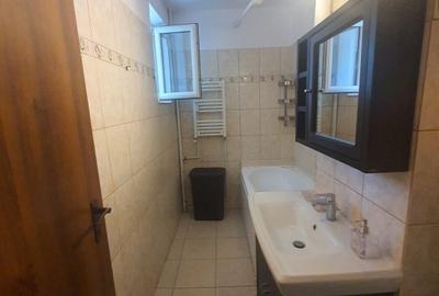 Baba Novac, Parc Ior, Mall Park Lake - 6