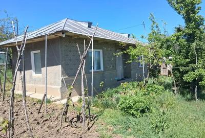 Casă cu 4 camere cu Teren 3400 Mp în Central - 2