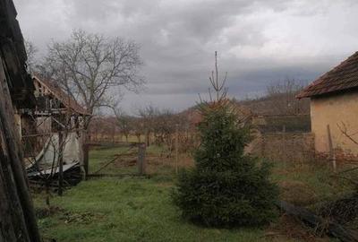 Casă cu 3 camere în Tileagd - 7