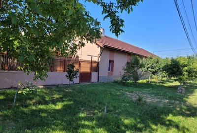 Casă cu 6 camere cu Teren 907 Mp în Moșnița Nouă - 1