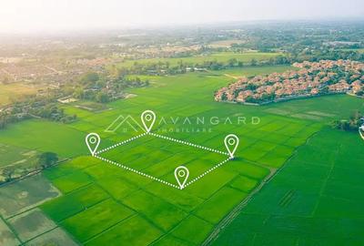 Teren constructii | 6500 mp | 40 ml front | Zona Maramuresului - 3