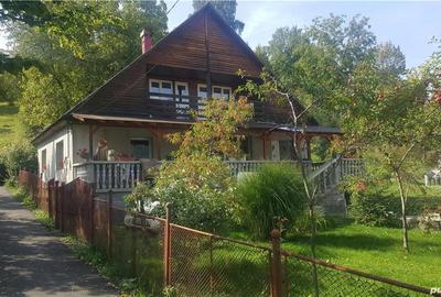 Casă cu Teren 2400 Mp în Cavnic - 6