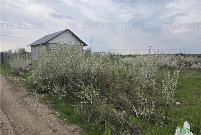 Teren Construcții intravilan de 420 mp, în Joița - 1