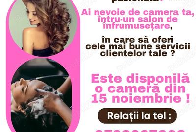 Inchiriez camera in salon de infrumuse?are - 2