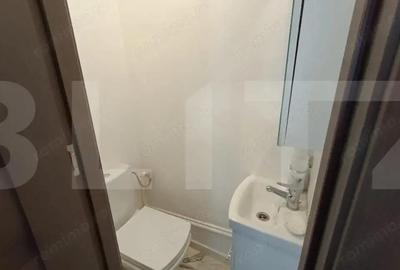 Apartament cu 3 camere, 67 mp, renovat, zona Campia Libertatii-Baba Novac - 9