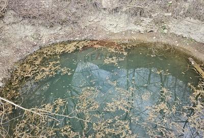 Teren Construcții intravilan de 1520 mp, în Hangu - 4