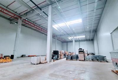 Hala industriala 2400 mp, Calea Lugojului - 4