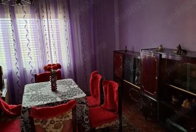 Vand casa in Plescuta - 1