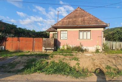 Casă cu 3 camere în Bord - 6