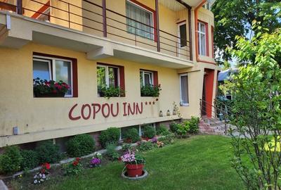 Spațiu comercial, de 750 mp, în Copou - 13