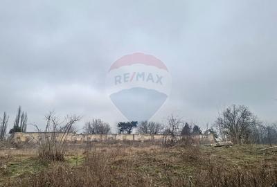 Teren Intravilan 18,546mp in Tunarii Vechi - 9