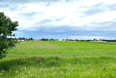 Teren Construcții intravilan de 13602 mp, în Zurbaua - 2