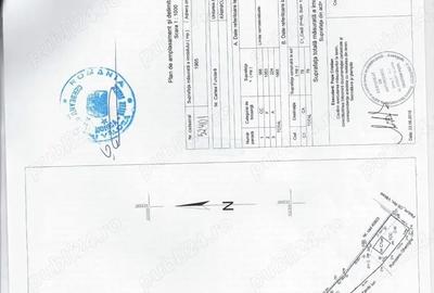 Casă cu 3 camere cu Teren 1800 Mp în Golești - 3