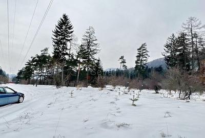 Teren intravilan - Sacele - Brasov - 3