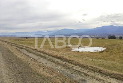 Teren agricol de 10000 mp, în Săliște - 3