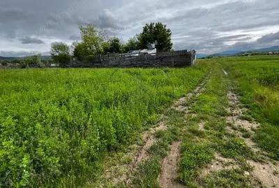 Teren extravilan de vanzare 2.800 mp, Livezile, jude?ul Bistri?a-Nasaud - 1
