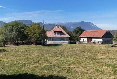 Teren de 6232 mp, în Sohodol