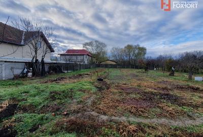 Teren intravilan de 1300 mp, Asfalt - Jebel - 11