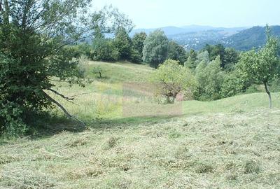 Teren extravilan de vanzare in Telega - 3