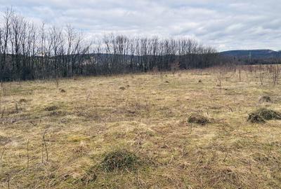 Spațiu comercial, în Central - 1