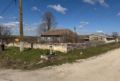 Casă cu Teren 2142 Mp în Olteni - 5