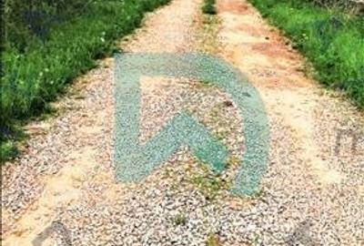 Vanzare teren intravilan, Sanpetru, Livada - 12