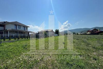 Teren Construcții intravilan de 700 mp, în Micești - 2