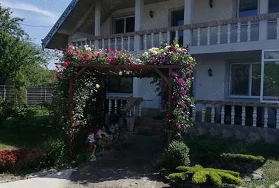 Casă cu 6 camere cu Teren 937 Mp în Mogoșești - 1