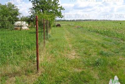 Vila de vanzare langa Dorohoi (Pascari), Botosani - 6