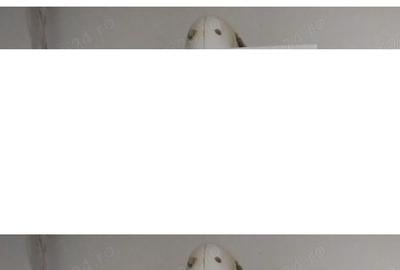 Casă cu 2 camere în Gara de Nord - 2