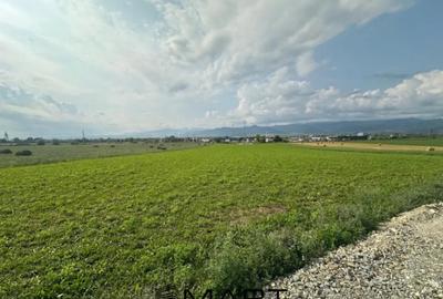 Teren de 5100 mp, în Cristian