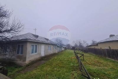 Casă cu 3 camere cu Teren 1273 Mp în Jiliște - 3