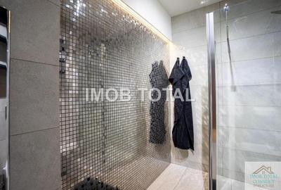 Apartament cu 2 camere decomandat, mobilat în Banat - 3
