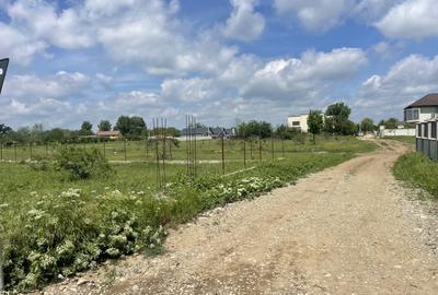 Domnesti, Str Teiului, teren 1500mp, 40ml deschidere, utilitati - 6