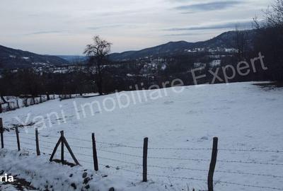 Teren de 4377 mp, în Bradu - 3