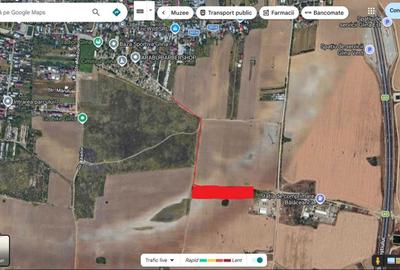 Teren de 10000 mp, în Glina - 2