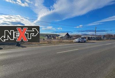 Teren Turturesti la strada principala Teren Turturesti la strada principala - 5