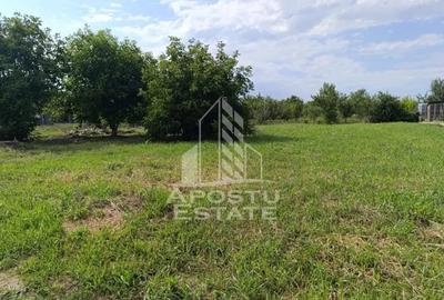 Teren de 683 mp, în Giarmata