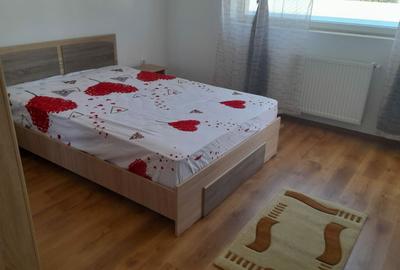 Garsonieră decomandată în Turnișor - 6