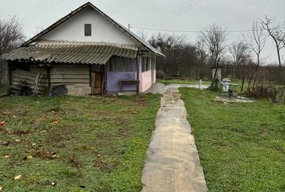 Casă cu 3 camere în Cosmești - 4